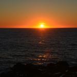 Cambria_2015_0216 (November 07, 2015)